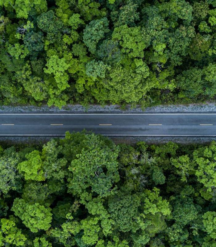 Electric vehicle car going through forest, EV electrical energy for environment, Nature power. Electric vehicle car going through forest, EV electrical energy for environment, Nature power.